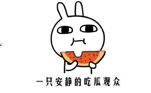 娱乐吃瓜君恶意造谣别人,真相揭秘! 第2张 娱乐吃瓜君恶意造谣别人,真相揭秘! 第2张